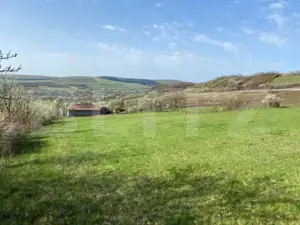 Casa  cu 10000mp de teren in Buza, la 50 km de Cluj-Napoca - imagine 12