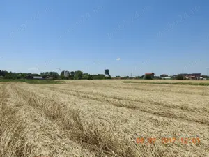 Teren intravilan agricol, orasul Magurele - imagine 3