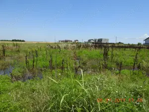 Teren intravilan agricol, orasul Magurele - imagine 2