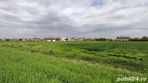 Teren de vanzare Caciulati com Moara Vlasiei - imagine 2