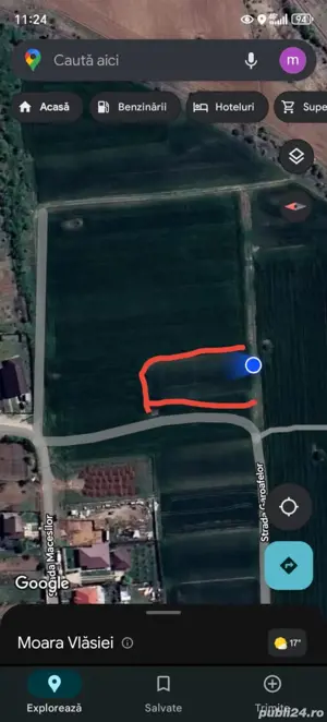 Teren de vanzare Caciulati com Moara Vlasiei - imagine 5