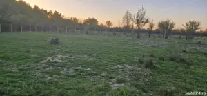 Vând teren intravilan  - imagine 3