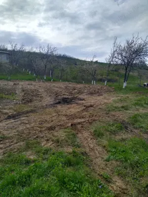 Teren intravilan în Vlădiceni