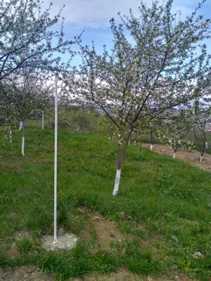 Teren intravilan în Vlădiceni  - imagine 3