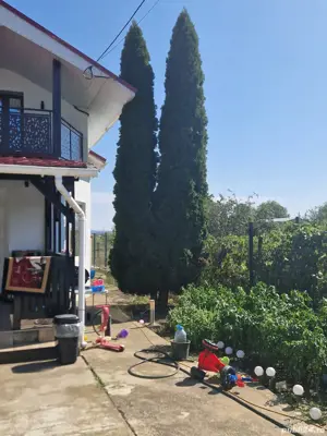 A 49 Vila LUX Letea , 320 mp utili cu 2294 mp teren intravilan - imagine 3