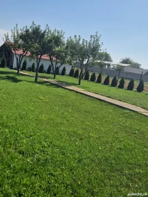 A 49 Vila LUX Letea , 320 mp utili cu 2294 mp teren intravilan - imagine 5