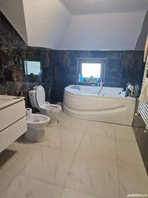 A 49 Vila LUX Letea , 320 mp utili cu 2294 mp teren intravilan - imagine 2