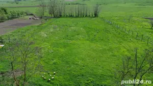 Teren intravilan Ianova 1508mp - imagine 4