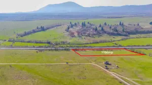 Teren 7786 mp/Curți construcții/Benzinărie - imagine 4