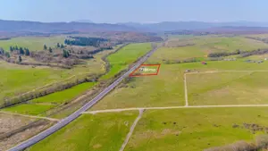 Teren 7786 mp/Curți construcții/Benzinărie - imagine 8