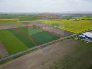 Teren 30,000mp Arad / Soseaua Centura Arad Nord - imagine 2