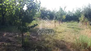 Casa individuala cu 3 camere in Curtici. - imagine 7