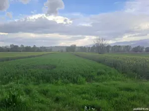 teren de vanzare - imagine 7 teren de vanzare - imagine 7