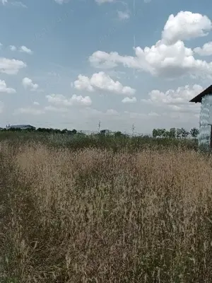 Oferta!!!Vand 500 m teren intravilan Rosiori de vede - imagine 7