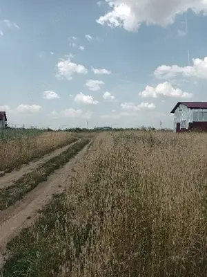 Oferta!!!Vand 500 m teren intravilan Rosiori de vede - imagine 3