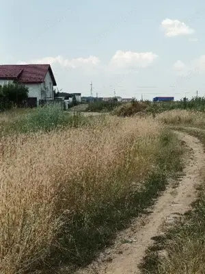 Oferta!!!Vand 500 m teren intravilan Rosiori de vede - imagine 6