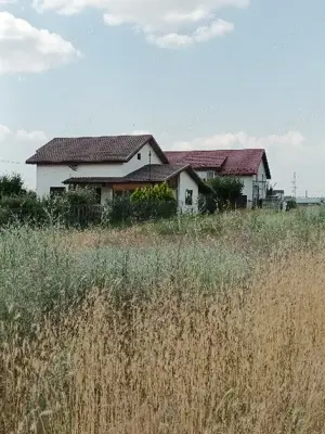 Oferta!!!Vand 500 m teren intravilan Rosiori de vede - imagine 5