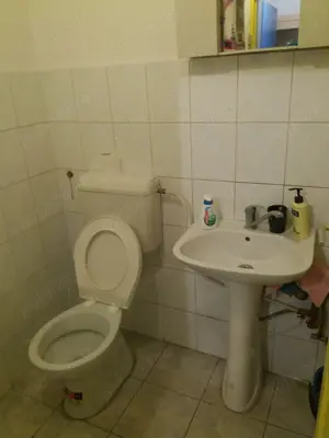 Spre inchiriere spatiu comercial ultracentral, Arad, zona Podgoria - imagine 2