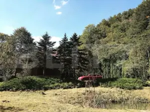 Casă de Vacanță pe Valea Ighielului – 3 camere, 2500 mp curte - imagine 5