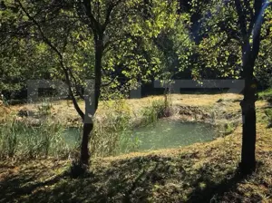 Casă de Vacanță pe Valea Ighielului – 3 camere, 2500 mp curte - imagine 7