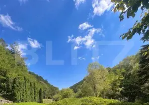 Casă de Vacanță pe Valea Ighielului – 3 camere, 2500 mp curte - imagine 11