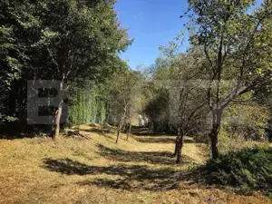 Casă de Vacanță pe Valea Ighielului – 3 camere, 2500 mp curte - imagine 9