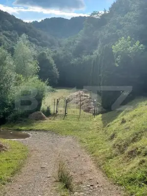 Casă de Vacanță pe Valea Ighielului – 3 camere, 2500 mp curte - imagine 10