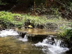 Casă de Vacanță pe Valea Ighielului – 3 camere, 2500 mp curte - imagine 2