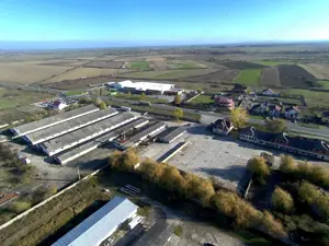 Platformă betonată de închiriat   până la 6000 mp | Remetea Mare, lângă autostrada A1 - imagine 4