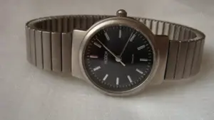 Vand Ceas Rexxor Titanium