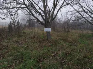 Teren intravilan Găgești   Vrancea