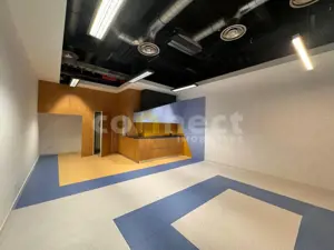 Spatii de birouri de inchiriat - imagine 4