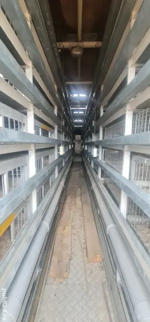 semiremorca crescut sau transport pasari  - imagine 3