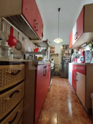 Cladire istorica, 5 camere, 145 mp, terasa, Iosefin/Sinaia - imagine 9