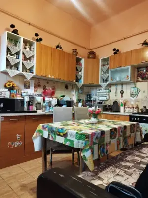 Cladire istorica, 5 camere, 145 mp, terasa, Iosefin/Sinaia - imagine 8