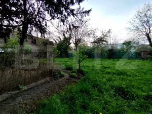 Cladire istorica, 5 camere, 145 mp, terasa, Iosefin/Sinaia - imagine 15