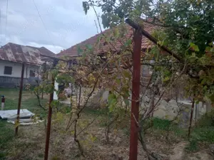 Vând casa bătrâneasca  - imagine 4