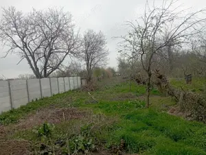 Orasul Calarasi - Vand casa + 1000 mp intravilan - imagine 7