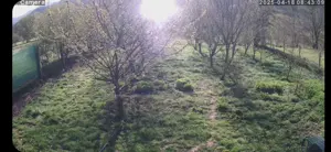 Teren intravilan  casa 