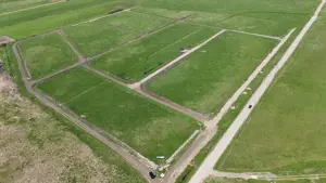 Parcele de teren Sacalaz - imagine 3