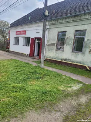 vând casă în Jimbolia  - imagine 8 vând casă în Jimbolia  - imagine 8