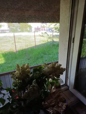 Cornetu,Vila de vinzare, - imagine 3