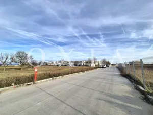 AX1027 Teren Intravilan, Zona Industriala Monlandys, Calea Sagului - imagine 7