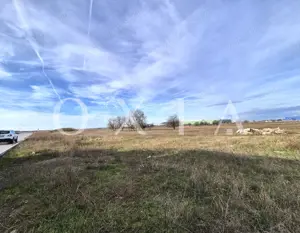 AX1027 Teren Intravilan, Zona Industriala Monlandys, Calea Sagului - imagine 8