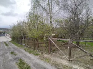 Teren intravilan Salicea - imagine 3