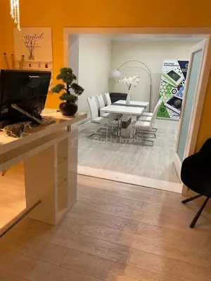 Casa 5 camere parcul Bratianu - Nymphea - imagine 3