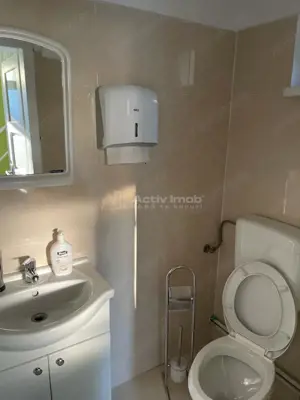 Casa 5 camere parcul Bratianu - Nymphea - imagine 12