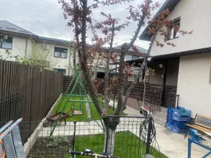 Vand casa la curte,Magurele,limita sector5 - imagine 7