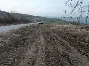Vand teren extravilan ,oferta foarte bună !5000 mp! - imagine 5