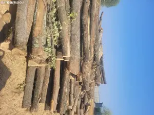 lemne de foc taiate la orice dimensiune  - imagine 4